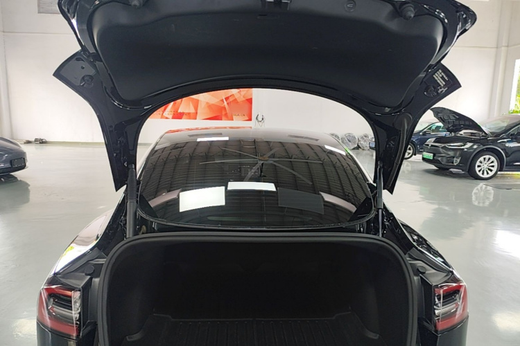 Tesla Model 3 2021 car image #19