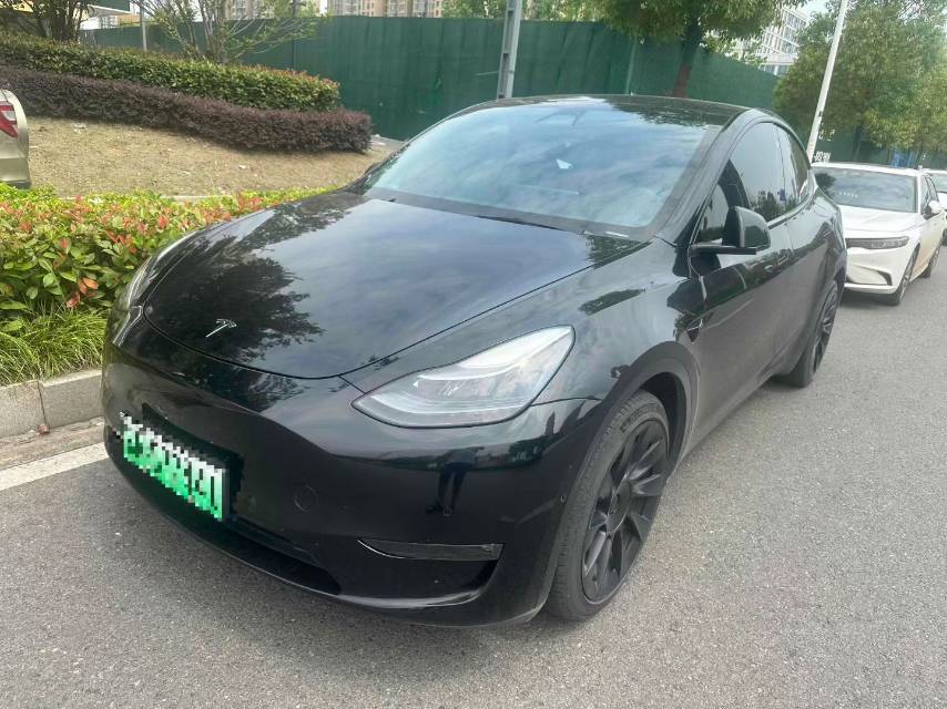 Tesla Model Y 2021 Tesla Model Y 2021 car image