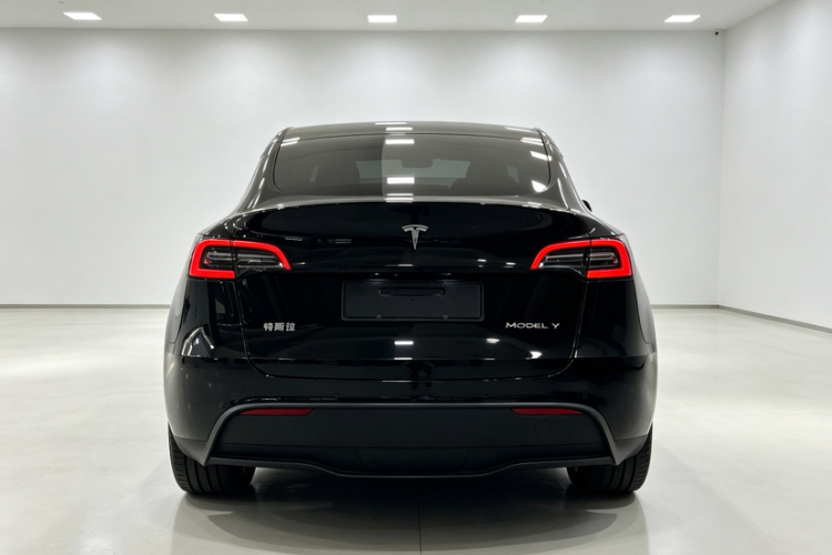 Tesla Model Y 2023 #5 Tesla Model Y 2023 car image #5