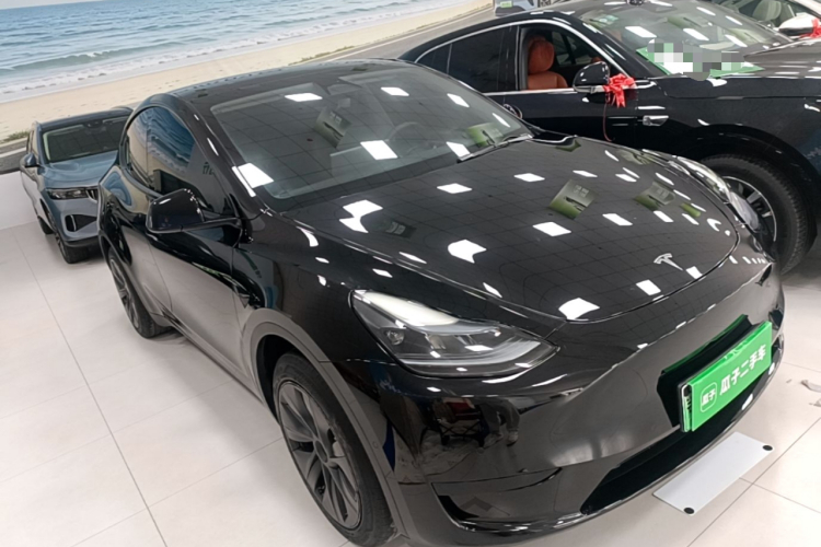 Tesla Model Y 2024 #6 Tesla Model Y 2024 car image #6