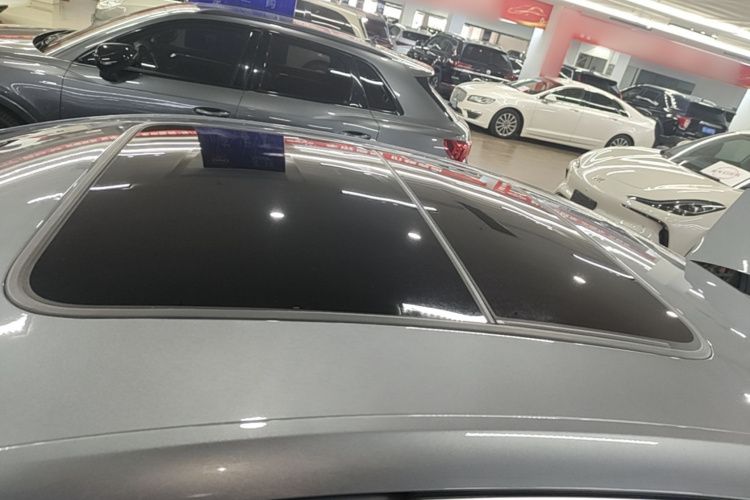 BYD Han 2021 car image #26