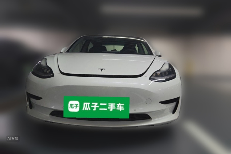 Tesla Model 3 2020 car image #3