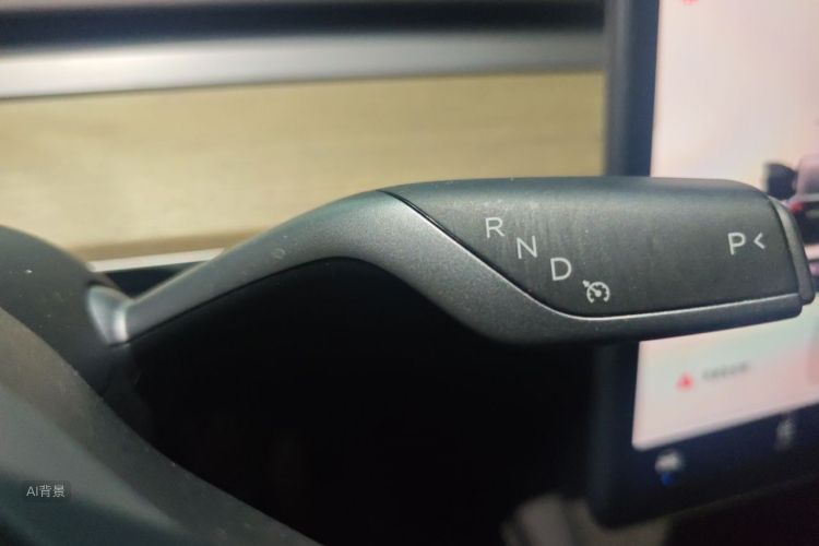 Tesla Model Y 2022 car image #16