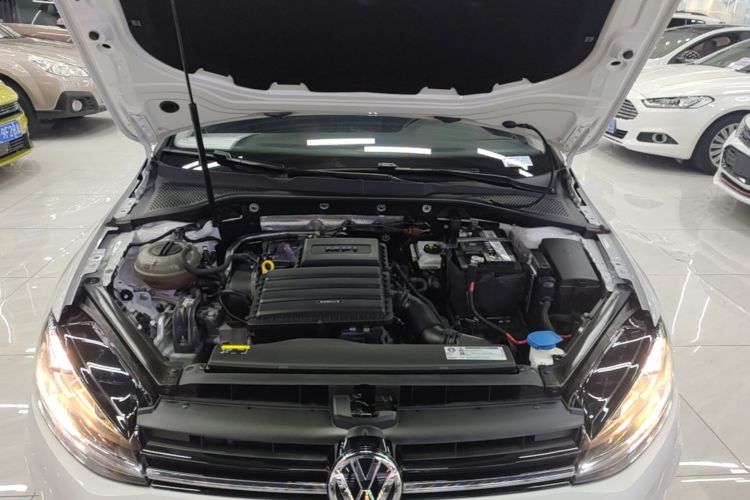 Volkswagen Golf 2019 car image #20
