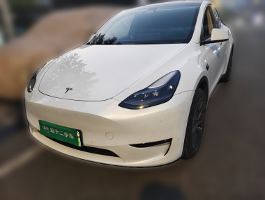 Tesla Model Y 2024 immagine di auto 
