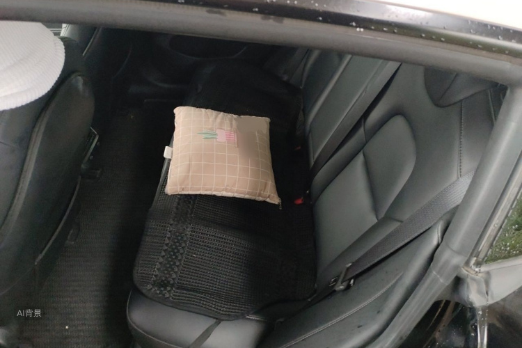 Tesla Model 3 2022 car image #19