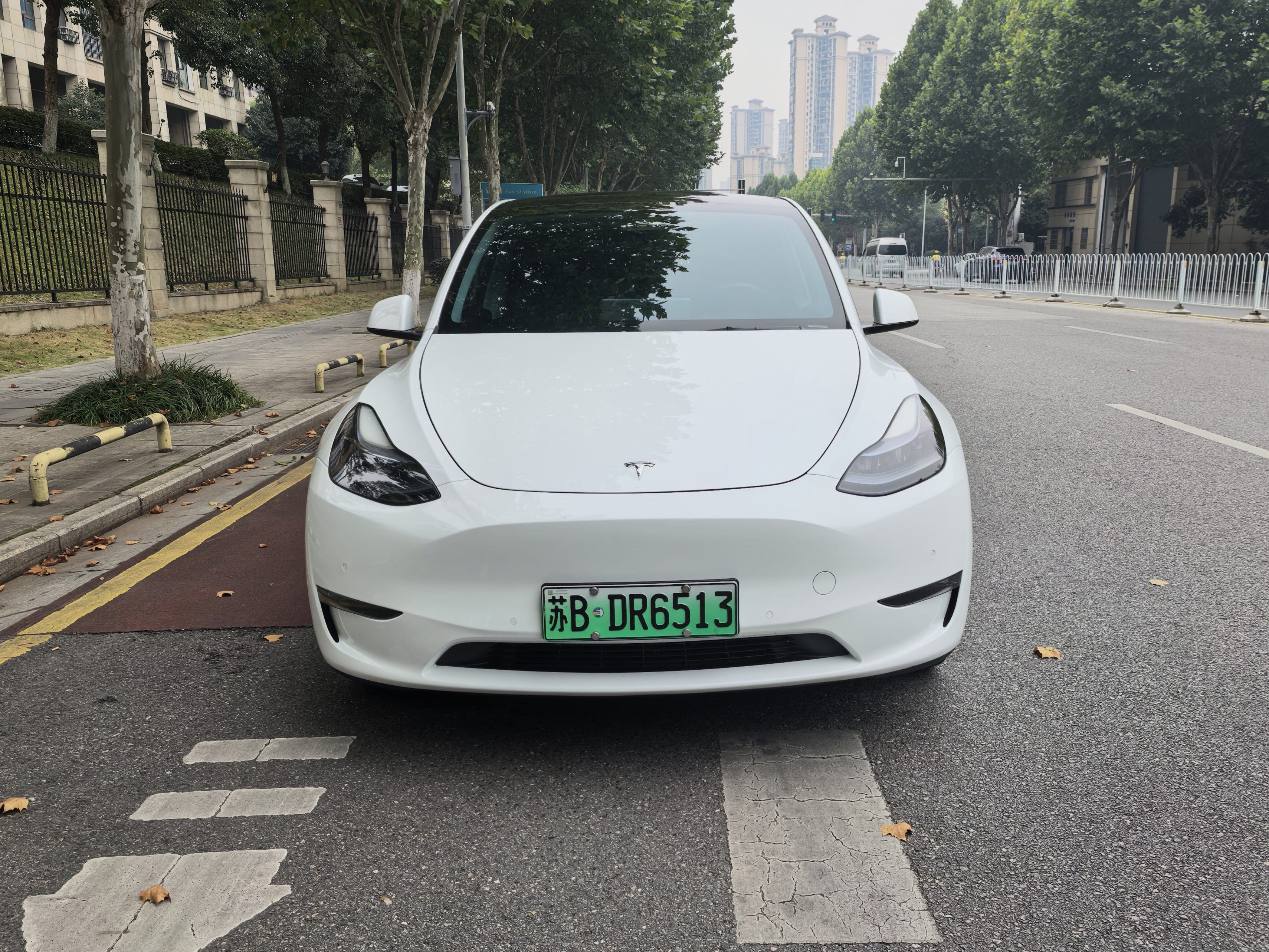 Tesla Model Y 2024 immagine di auto #3