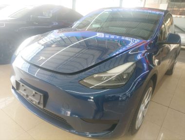 Tesla Model Y 2022 Tesla Model Y 2022 car image