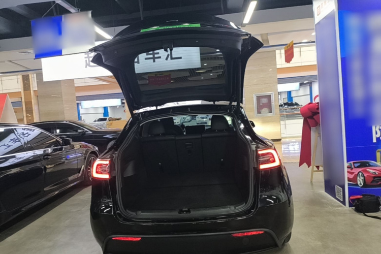 Tesla Model Y 2023 #19 Tesla Model Y 2023 car image #19