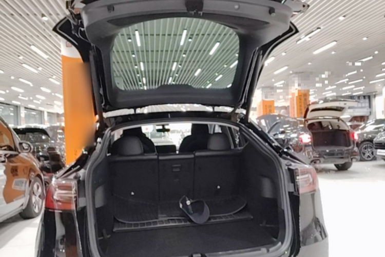 Tesla Model Y 2021 car image #19