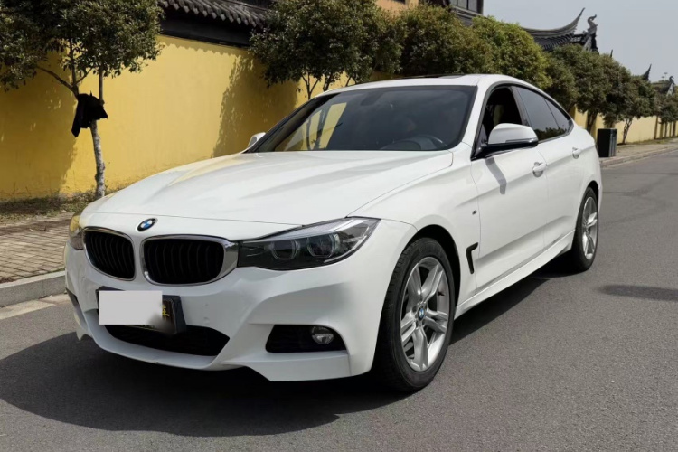 BMW 3 Series GT 2019 car image #24