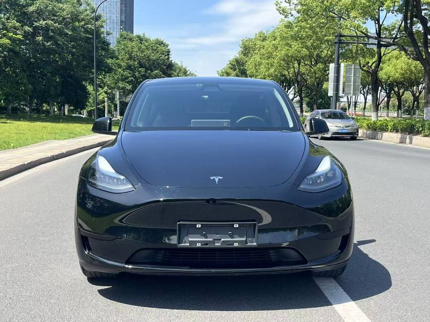 Tesla Model Y 2022 Tesla Model Y 2022 car image