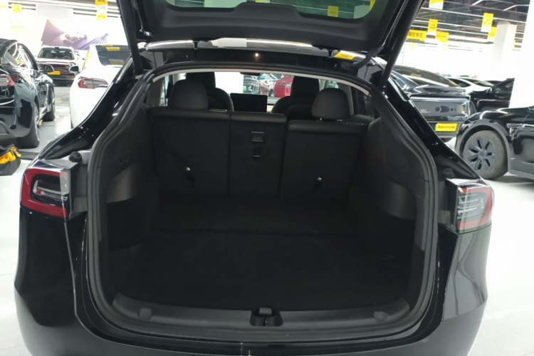 Tesla Model Y 2023 car image #19
