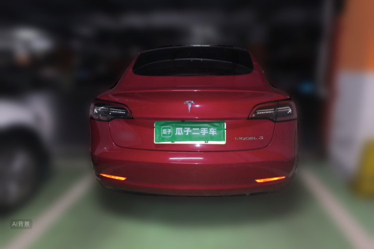 Tesla Model 3 2021 car image #6