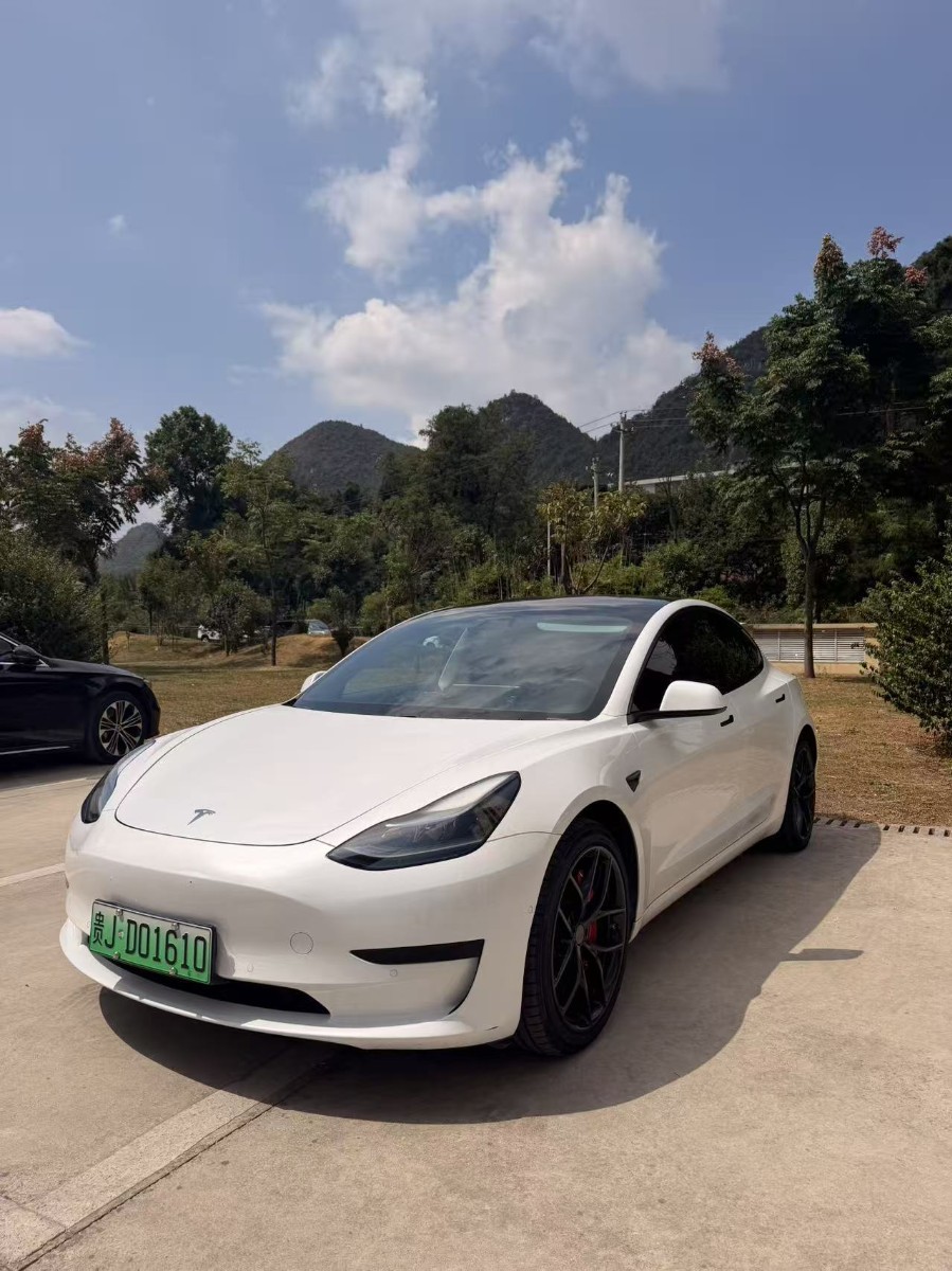 Tesla Model 3 2021 imagem de carro #2