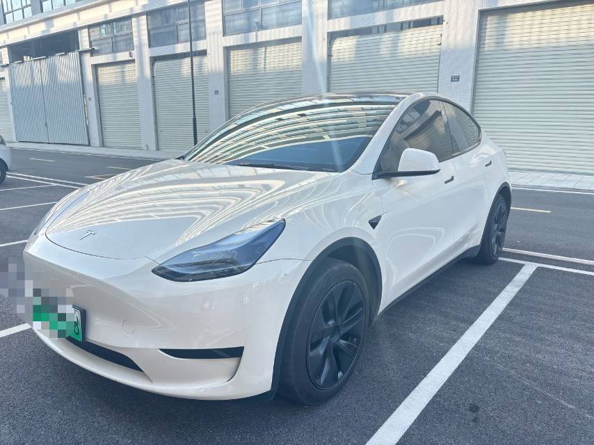 Tesla Model Y 2024 car image 