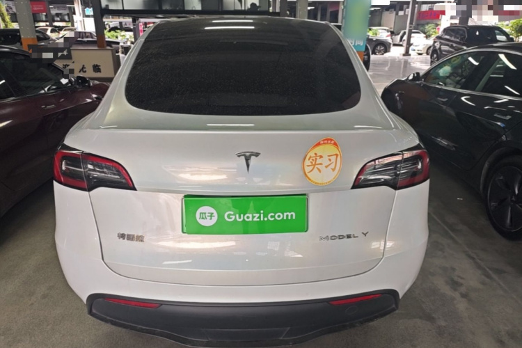 Tesla Model Y 2022 immagine di auto #6