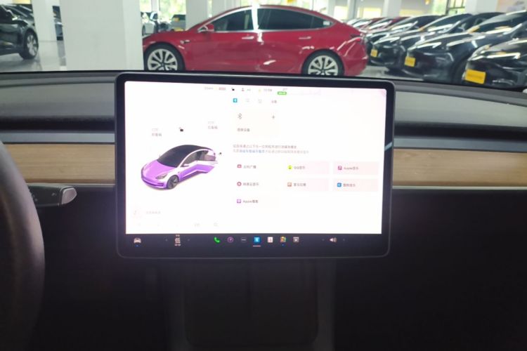 Tesla Model 3 2021 #13 Tesla Model 3 2021 car image #13