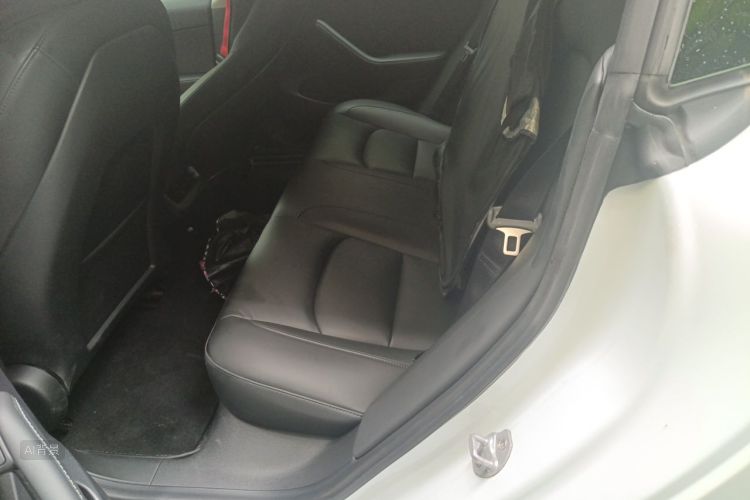 Tesla Model 3 2021 #19 Tesla Model 3 2021 car image #19