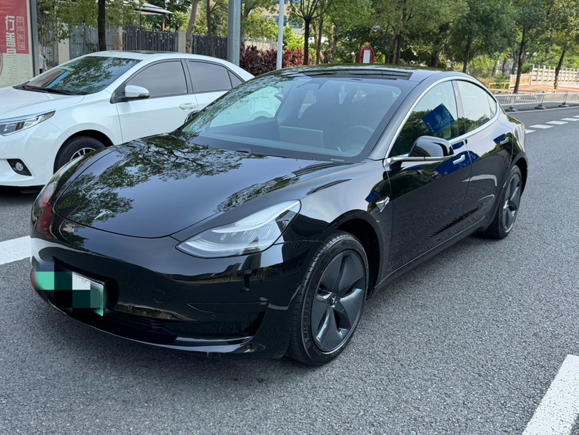 Tesla Model 3 2020 car image 