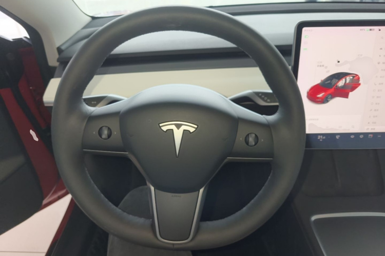 Tesla Model 3 2021 immagine di auto #11