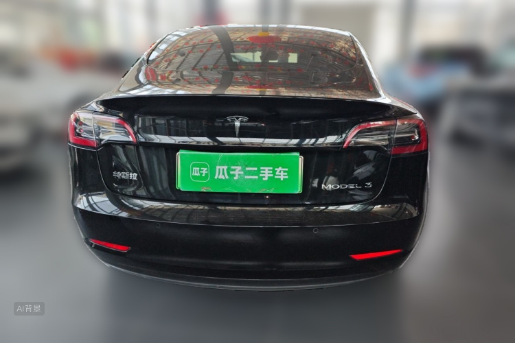 Tesla Model 3 2021 car image #6