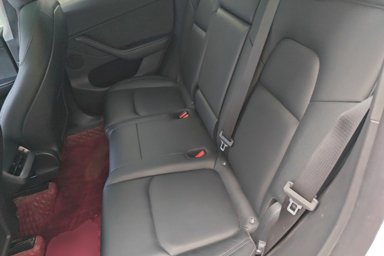 Tesla Model Y 2023 car image #13