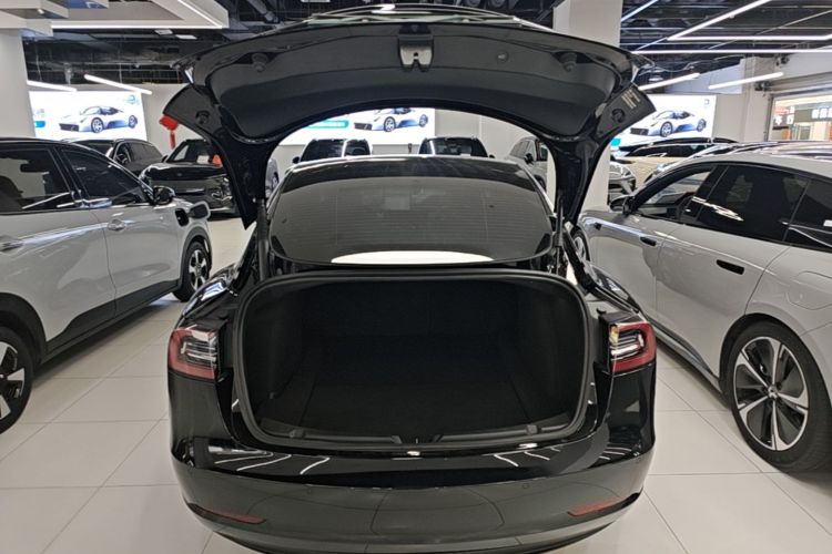 Tesla Model 3 2022 car image #19