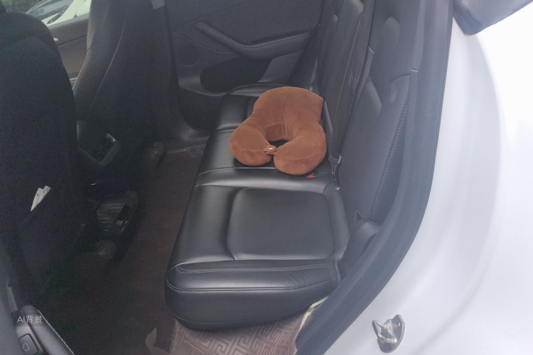 Tesla Model Y 2021 car image #19