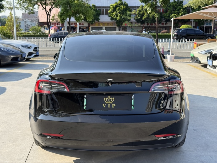 Tesla Model 3 2023 #5 Tesla Model 3 2023 car image #5