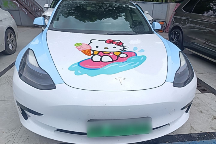 Tesla Model 3 2022 immagine di auto #3