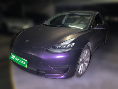 Tesla Model 3 2020 Tesla Model 3 2020 car image