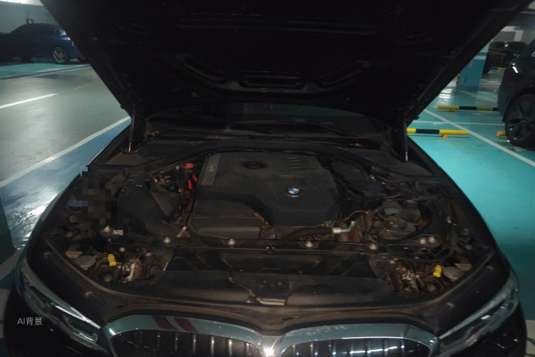 BMW 3 Series 2020 #22 BMW 3 Series 2020 صورة سيارة #22