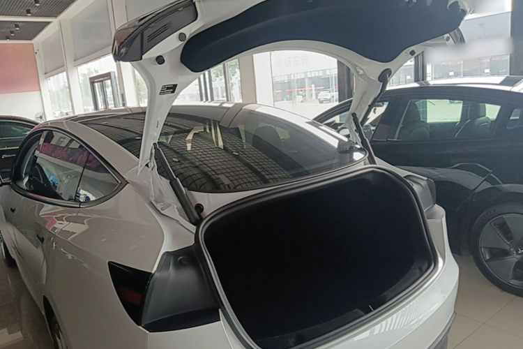 Tesla Model 3 2023 #19 Tesla Model 3 2023 car image #19