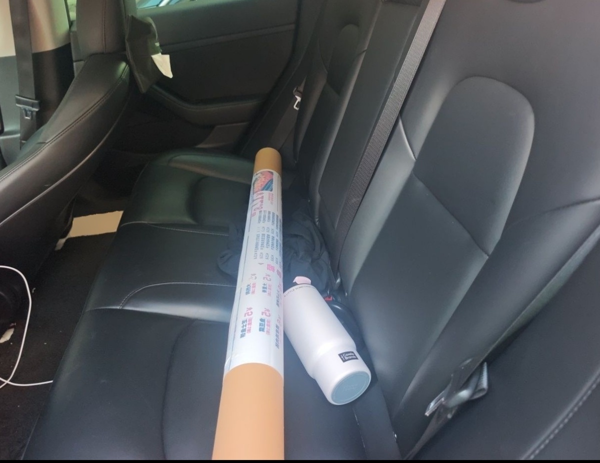 Tesla Model 3 2022 car image #4
