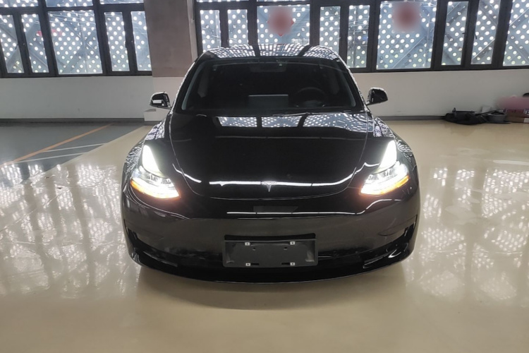 Tesla Model 3 2021 immagine di auto #3