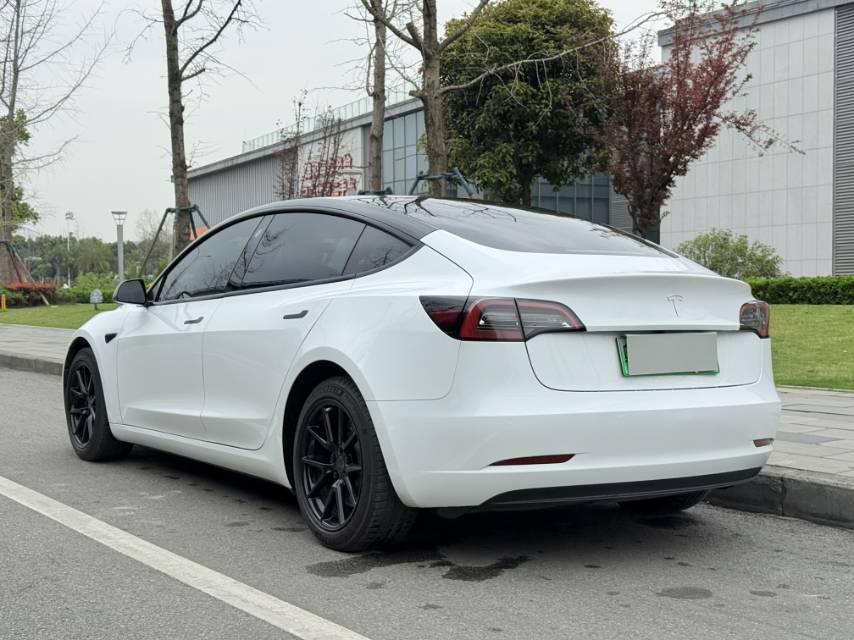 Tesla Model 3 2021 #9 Tesla Model 3 2021 car image #9