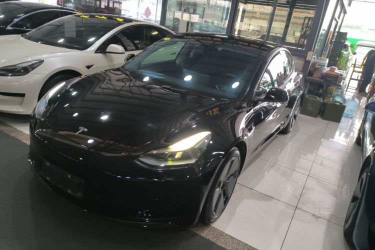 Tesla Model 3 2021 #2 Tesla Model 3 2021 car image #2