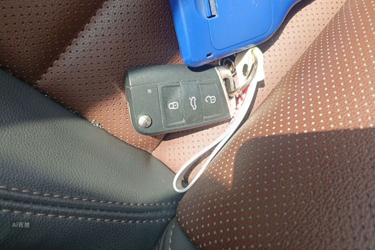 Volkswagen Lavida 2019 imagen de coche #10