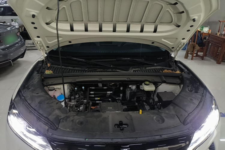 BYD YuanUP 2025 #22 BYD YuanUP 2025 صورة سيارة #22