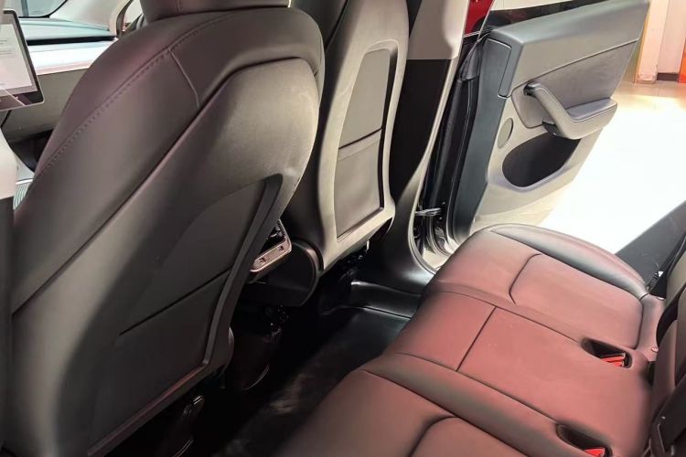Tesla Model Y 2024 car image #14