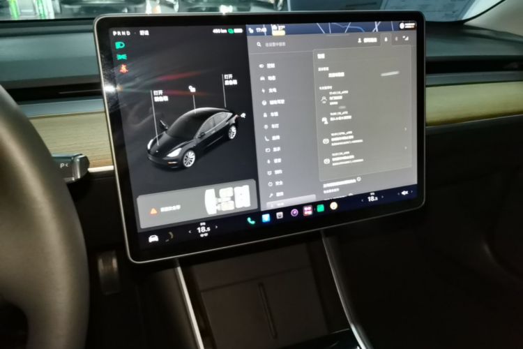 Tesla Model 3 2020 imagem de carro #13