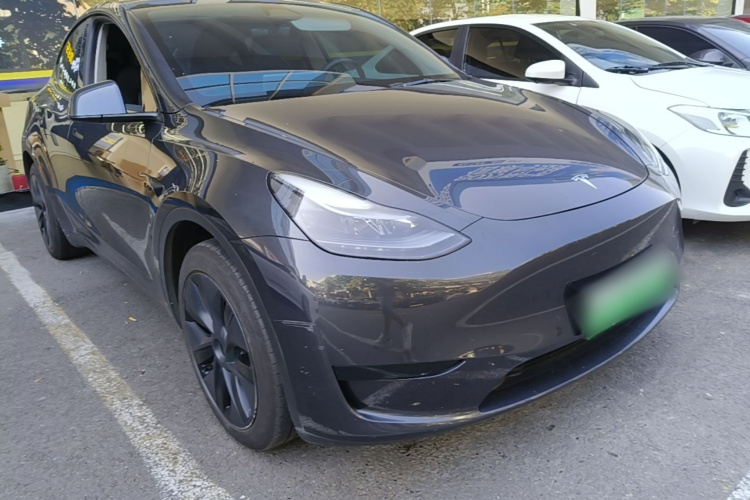 Tesla Model Y 2024 car image #4