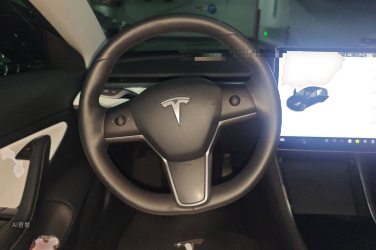 Tesla Model 3 2020 car image #12