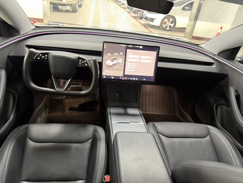 Tesla Model 3 2024 immagine di auto #6