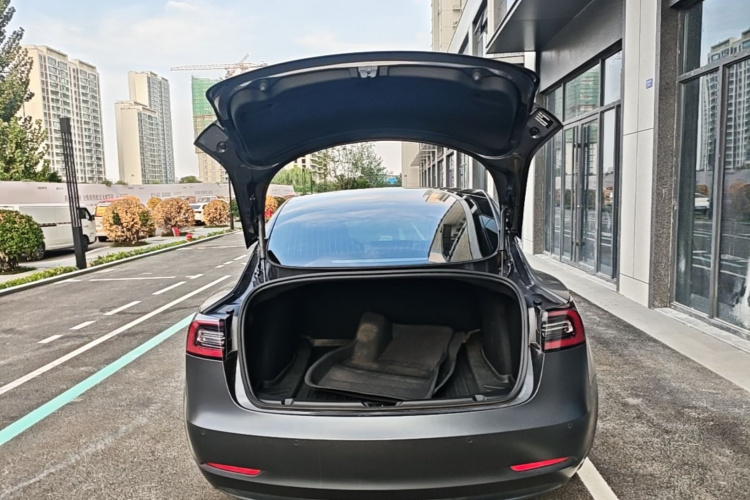 Tesla Model 3 2020 #19 Tesla Model 3 2020 car image #19