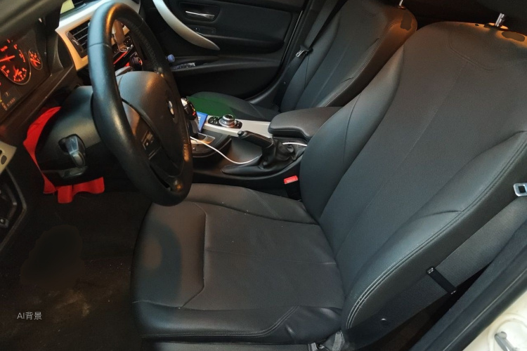 BMW 3 Series 2016 car image #17