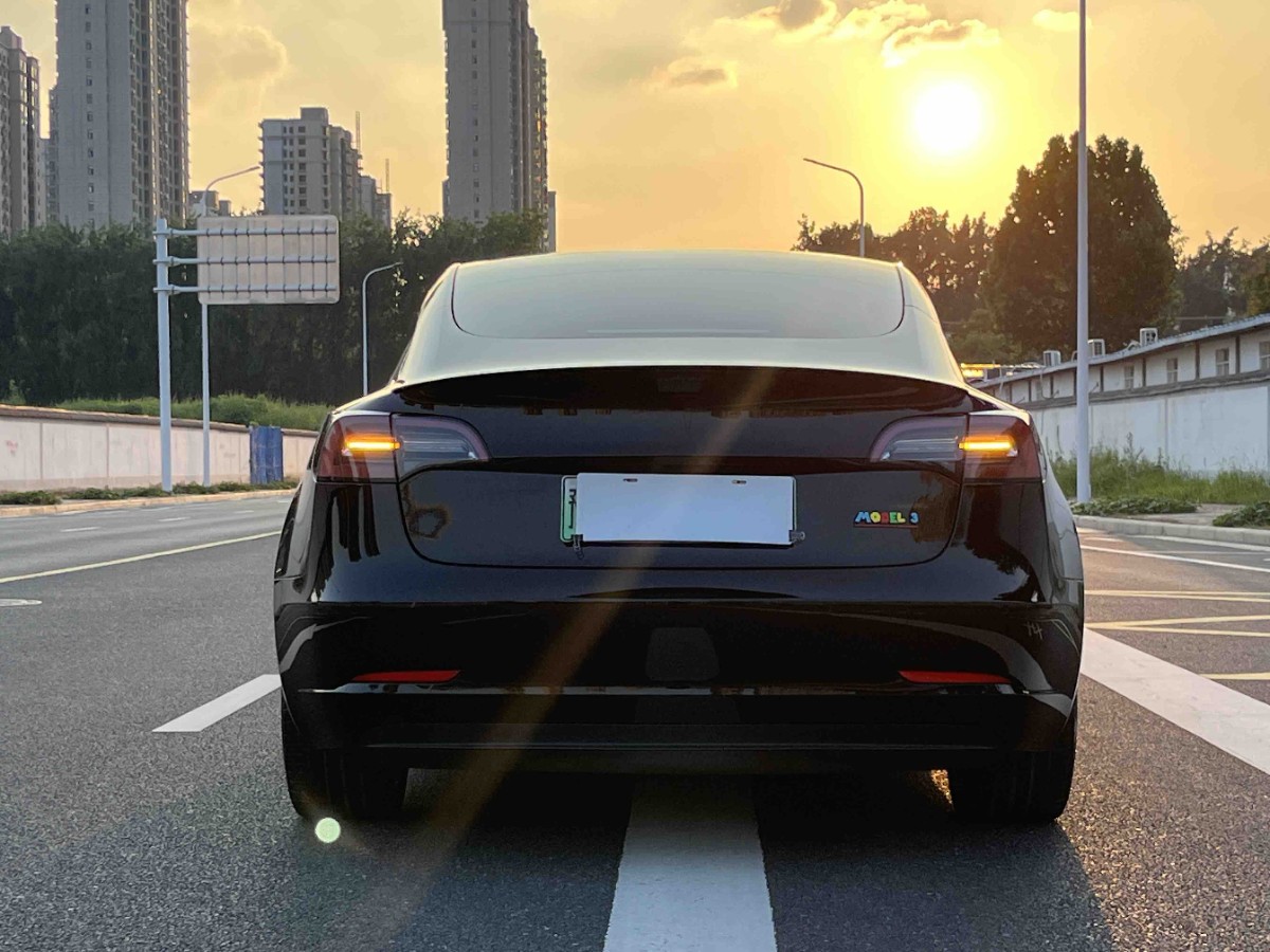 Tesla Model 3 2021 car image #11