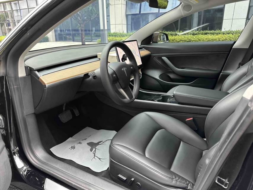 特斯拉 Model 3 2021 汽车图片 #3