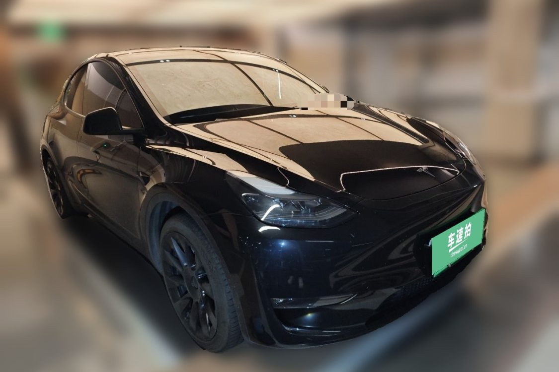 Tesla Model Y 2024 car image #2